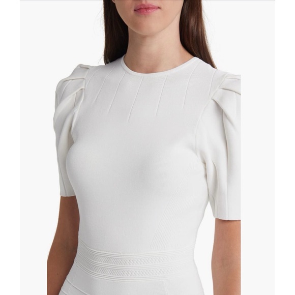 NWT-Ted Baker London Velvey Puff Sleeve Dress - Picture 4 of 5